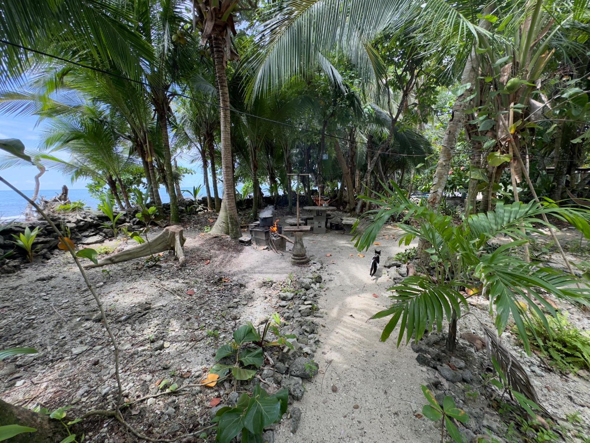Hostel Casa Mamre Cahuita Zewnętrze zdjęcie