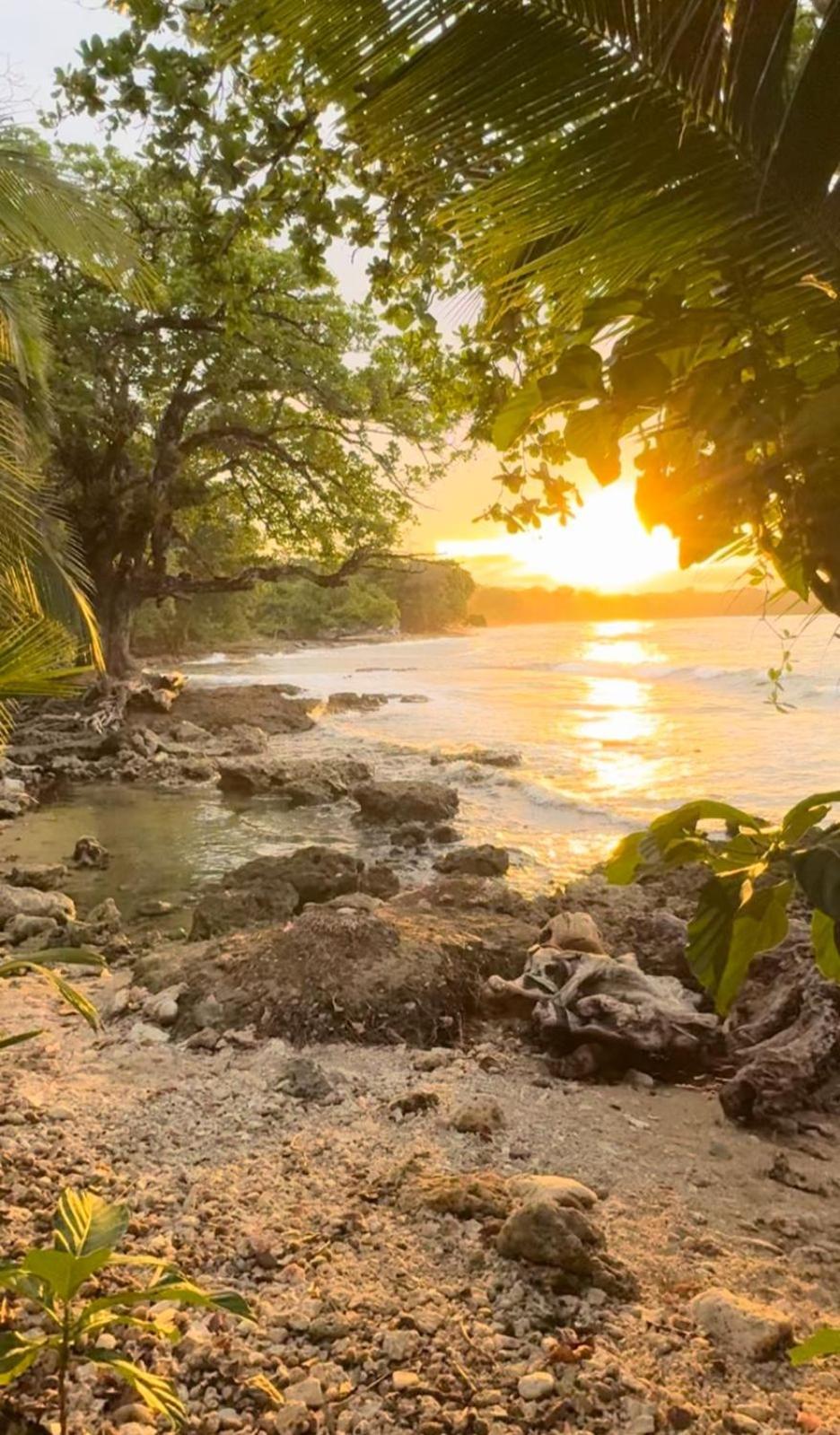 Hostel Casa Mamre Cahuita Zewnętrze zdjęcie