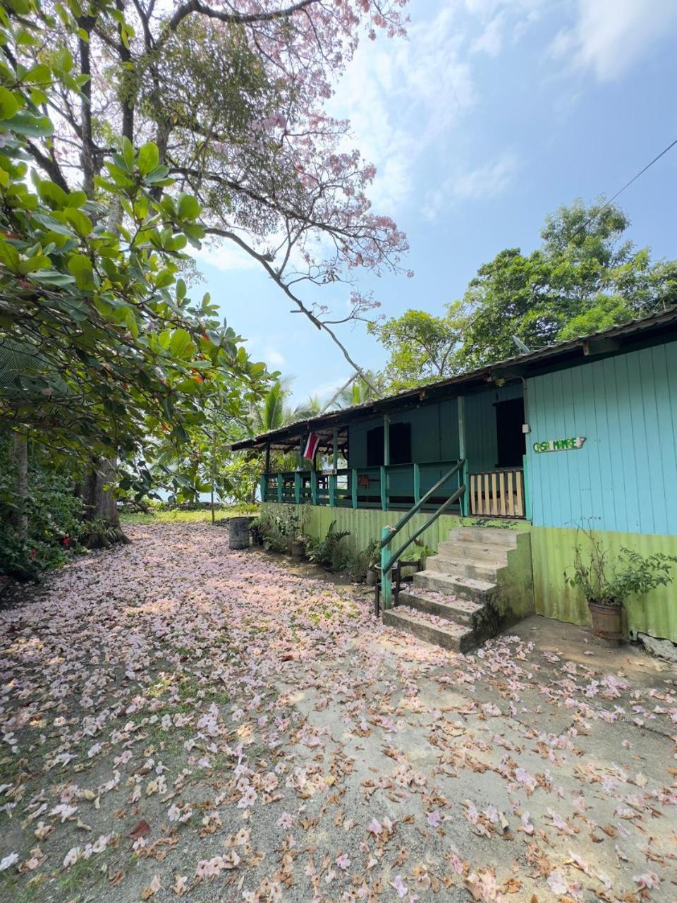 Hostel Casa Mamre Cahuita Zewnętrze zdjęcie